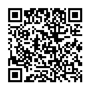 反而是韩柏的精纯功力顺着手掌源源不断的传了过来二维码生成