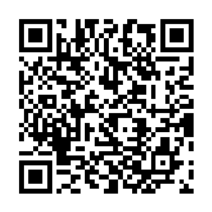 反而直接和间接救下了十几二十条卑微如尘土的丫鬟性命二维码生成