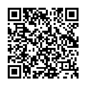 反而觉得傻里傻气脑子不好使的大傻子和二傻子二维码生成