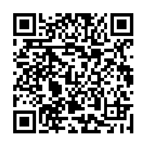 反而转身朝着下面摔得头晕脑胀的杨秉坤走了过去二维码生成