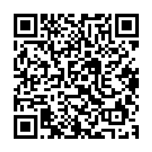 发现一株二人合抱的大树干上下方有一个可容纳下一人身体的树二维码生成