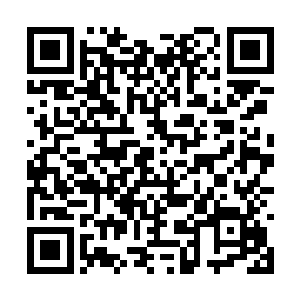 发现一片狼藉的地面上早已经是没有了叶然的身影二维码生成