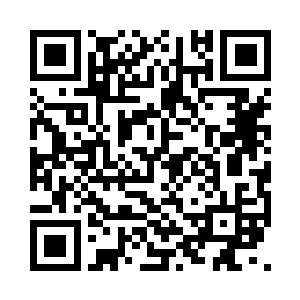 发现人类文明的至强者都来到它的身边时二维码生成