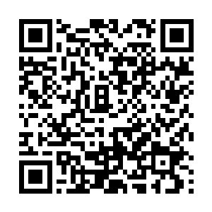 发现你们人类这次进入到禁地引动的征兆与记载中不符二维码生成