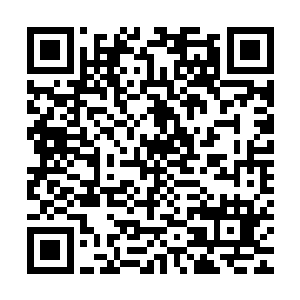 发现其中有相当一批事故原因在于人类驾驶员进来太依赖智脑了二维码生成