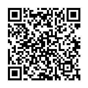 发现刚才还空无一人的擂台上再次出现了一个人二维码生成