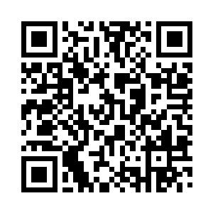 发现所有朋友圈的照片了竟然都是一只狗二维码生成