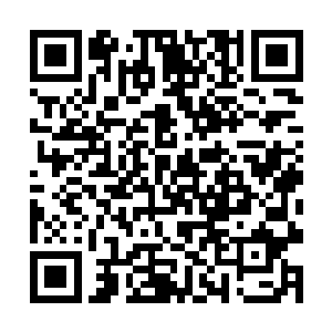 发现有两个看起来特别熟悉的家伙正在门口等着自己二维码生成