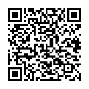 发现杨开佩戴了易容的秘宝之后立刻针锋相对起来二维码生成