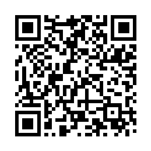 发现眼前的这只打不烂已经被打变了形二维码生成