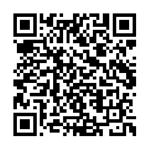 发现秦念跟他俩人皱着张脸耷拉着头站在大门口二维码生成