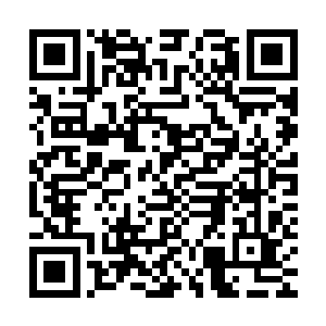 发现空气中的混乱魔力比大灾变刚开始的时候又浓郁了三成以上二维码生成