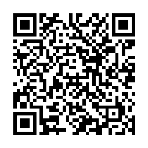 发现缠龙大师竟然被平天神国的神皇亲自下令给通缉了二维码生成