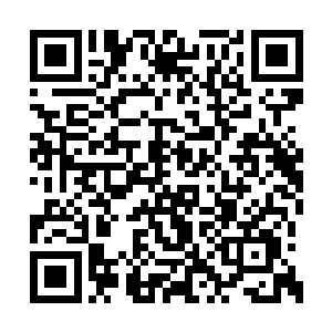 发现自己穿的皮甲被剑戟魔猪扎出了几十个窟窿二维码生成