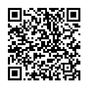 发现这五个人的修为也都在为了突破分神中期而努力二维码生成