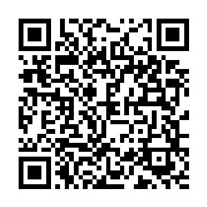 发现那十来个人已经被摄魂幡卷裹起来正要远遁……二维码生成