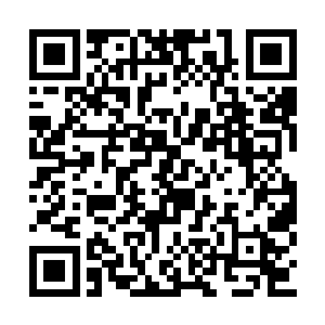 发现那炼丹之术一直到九品炼丹术之后就没有了二维码生成