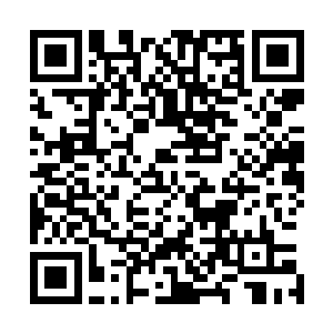 发觉这蛇神使已经是将那颗神使遗留下来的舍利子盘了起来二维码生成