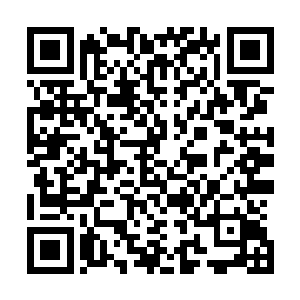 发誓不报仇就不重建东来洞的苗大洞主得知山主法驾亲临后二维码生成