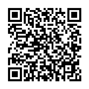 取而代之的则是一片充满了肃杀气息的荒凉之地二维码生成