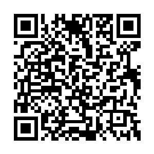 取长补短后得到的最优方案也不是一般仙家可比二维码生成