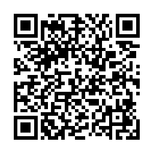 受伤之后这家伙没有想到英雄一般的拖着伤来救他的师侄我二维码生成