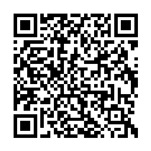 受邀的也无不是霞照官场和商场有头脸人家子女二维码生成