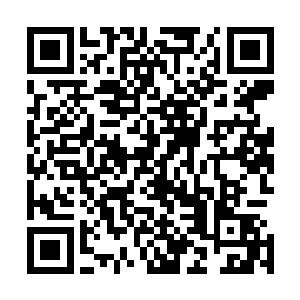 变异人魔倒是与僵尸很是相似的……而且还不是一般的僵尸二维码生成