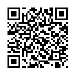 变异相思树也同样需要大量的晶石二维码生成