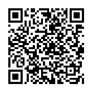 变成了一个脑袋上有着一个独角的波尔帝国大汉二维码生成