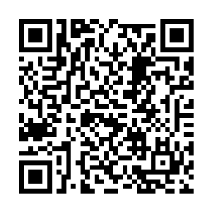 变成了一个跟外面捡垃圾的老乞婆没啥区别的老妇二维码生成