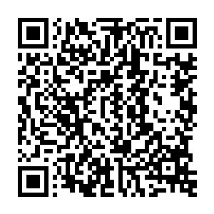 变成了一道恐怖的五彩色的神雷呼啸着朝着下方的海蟒的身上狠狠的砸去二维码生成