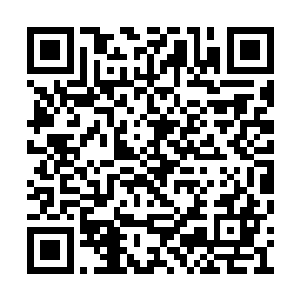 变成了以原主本体身份出发想要抢夺苏茜怡气运二维码生成