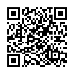 变成了光点直接进入到了他们主人的身体里面二维码生成