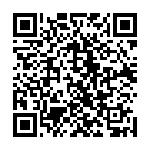 叛军们完全没有想到这会是林锐等人在撤离之前的最后疯狂二维码生成