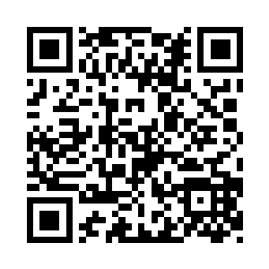 叛臣势力这一次出动的天尊及以上修士二维码生成