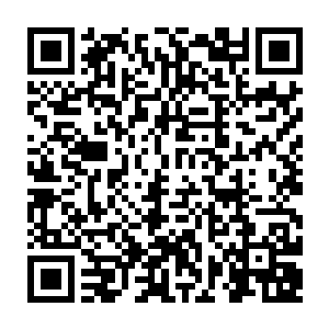 古丽莎这核心圈里唯一懂阿拉伯语的自己把带回来的几台电脑仔细清理了一遍二维码生成