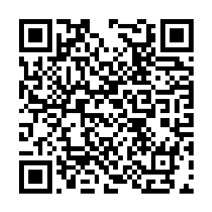 古今龙现在早就将眼前这个风之凌抓起来严刑拷问二维码生成