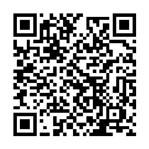 古斯塔夫一边祈祷一边向选手们绽开最迷人的微笑二维码生成