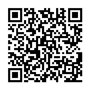 古族的这些太上长老可是为古族立下过不少的汗马功劳的二维码生成