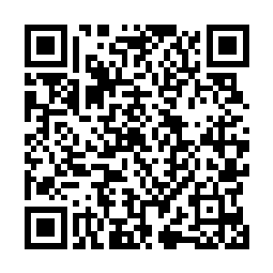 古武世家的事情苏凡基本上已经从白家老爷子哪里了解了二维码生成