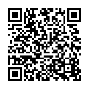 另一个人偷偷看了一眼那辆面包车上的五具尸体二维码生成