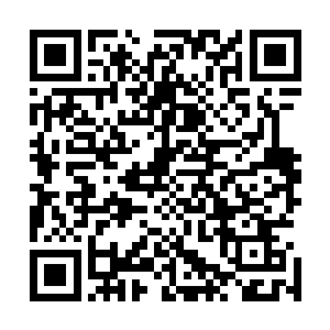 另一个原因就是他感应到张德开身上有一种强烈的真灵波动二维码生成