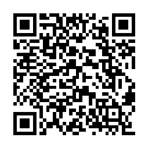 另一个是刚刚从芦花乡划入开发区范围的董家村二维码生成