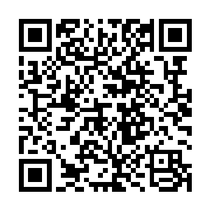 另一个背对台阶方向的背影在宽大僧袍中显得有些瘦小二维码生成