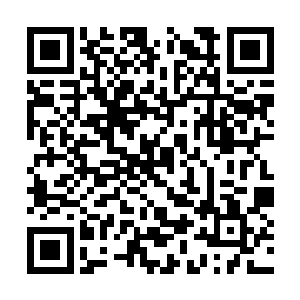 另一人则是被火焰刀芒在身前划了一个巨大的伤口二维码生成