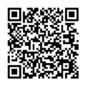 另一只手则哗啦啦的将大海碗里的草泥往小幼崽的嘴巴里倒二维码生成