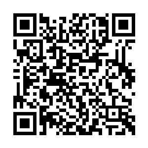 另一支小分队却在疯狂采集着翡翠大陆上的资源二维码生成