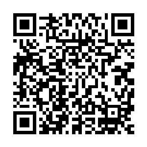 另一方面是因为这支小队目前距离那些仙君后期巅峰的修士较远二维码生成