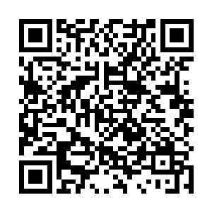 另一方面迅速派人去核实那日送请柬来之人的真实身份二维码生成